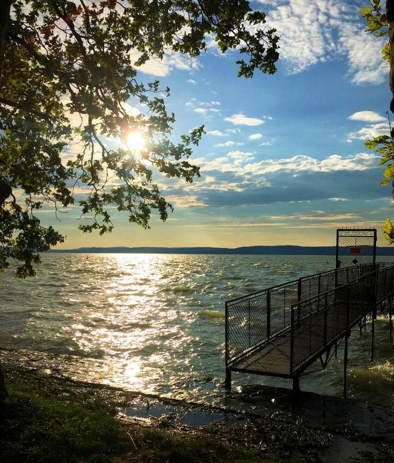 Party Villa Holiday Rent Balatonfoldvar Exterior photo