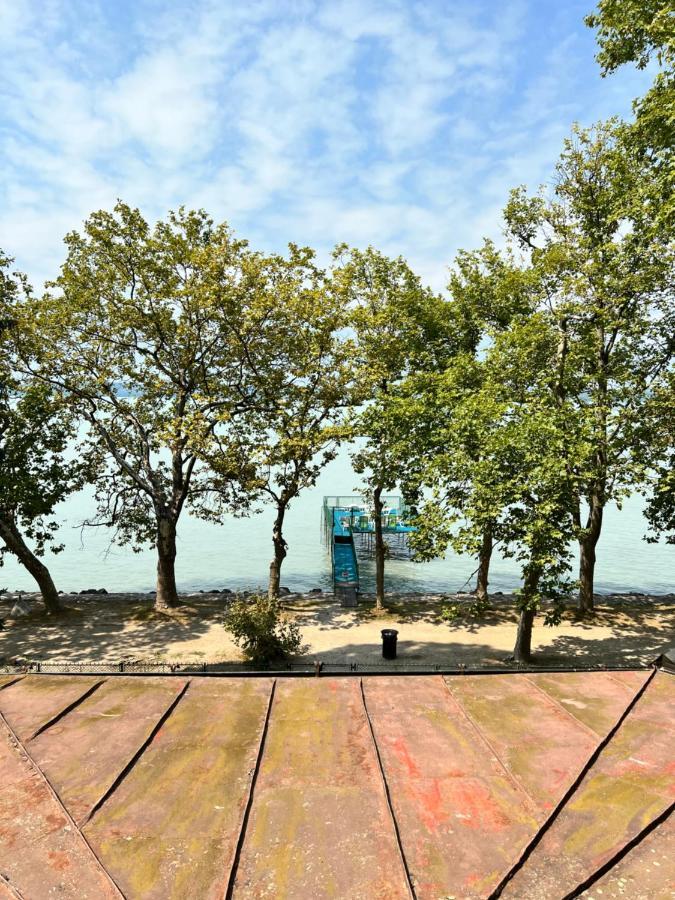 Party Villa Holiday Rent Balatonfoldvar Exterior photo