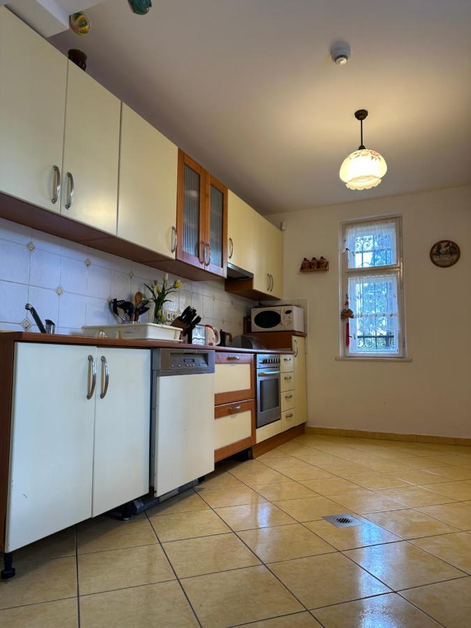 Party Villa Holiday Rent Balatonfoldvar Exterior photo